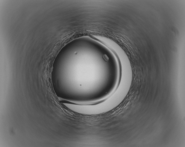 X0000115270817200911131805