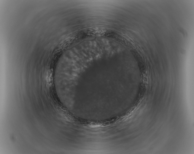 X0000115270818200911131805