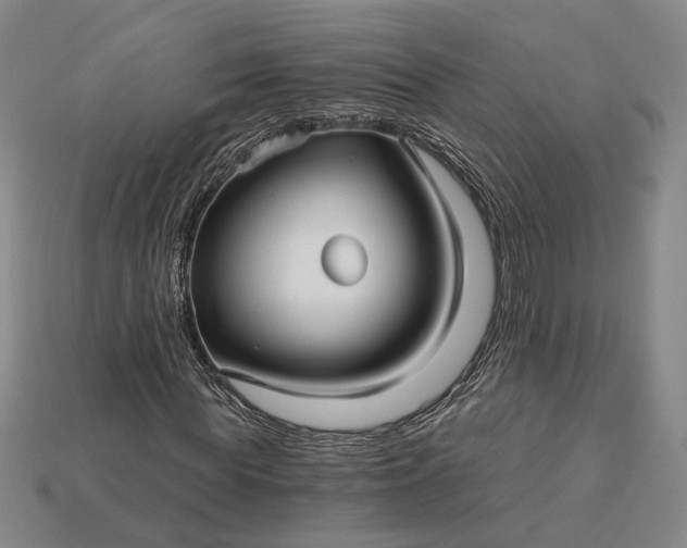 X0000115270819200911131805
