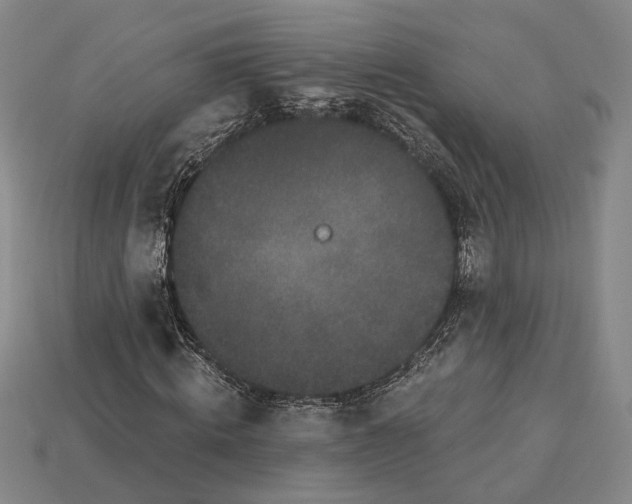 X0000115270820200911131805