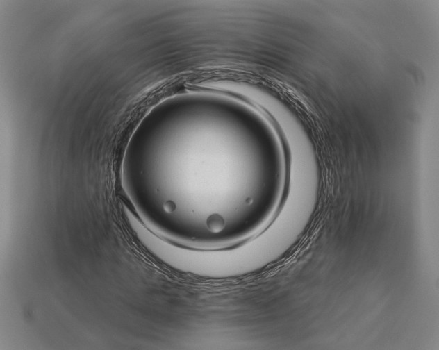 X0000115270821200911131805