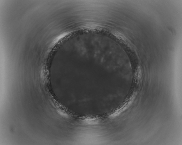 X0000115270822200911131805