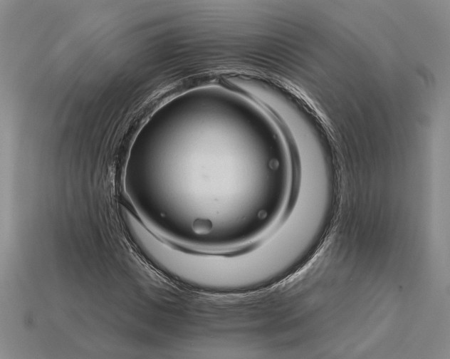 X0000115270825200911131805