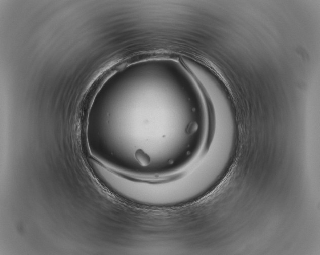 X0000115270827200911131806