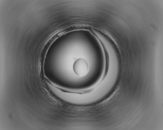 X0000115270829200911131806