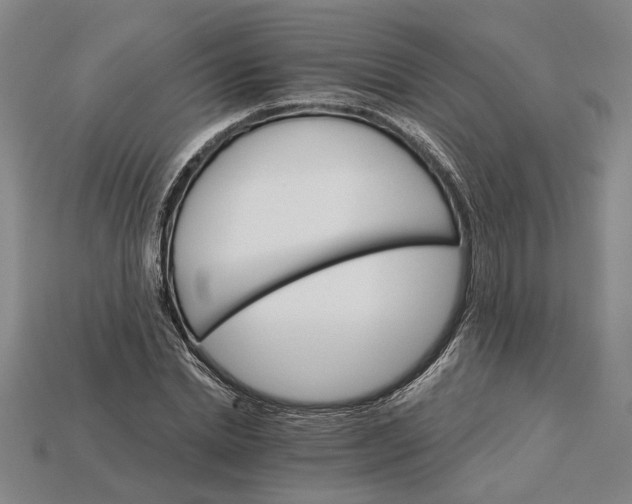X0000115270830200911131806