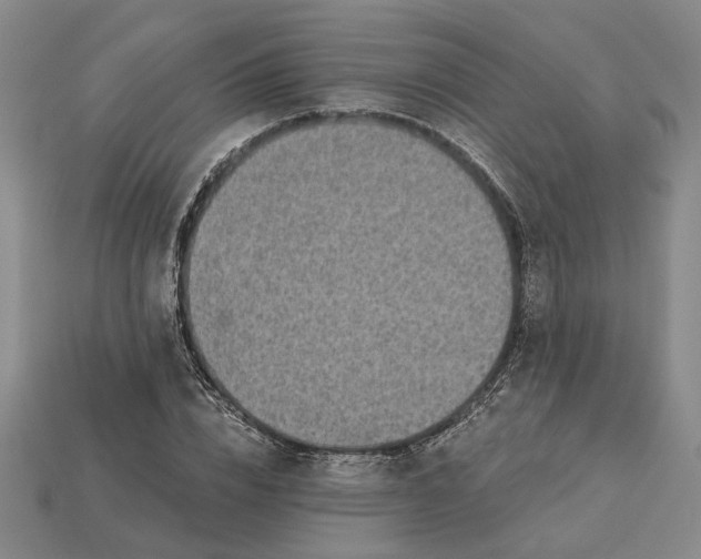 X0000115270832200911131806