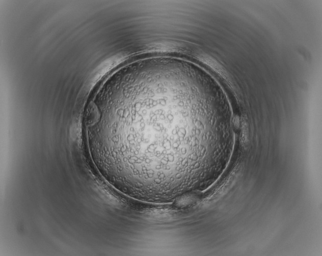 X0000115270834200911131806