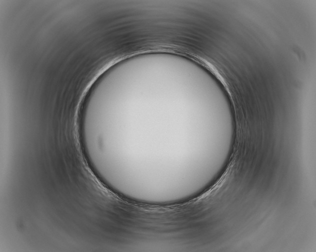 X0000115270835200911131806