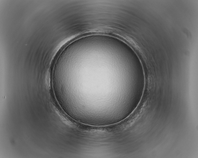 X0000115270838200911131806