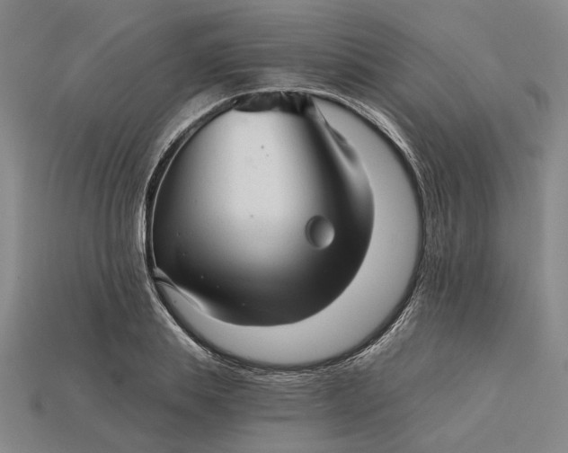 X0000115270839200911131806