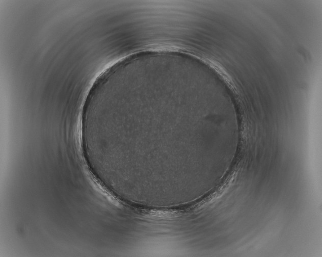 X0000115270840200911131806
