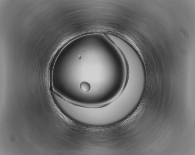 X0000115270843200911131806