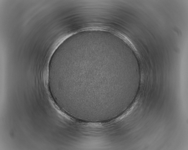 X0000115270844200911131806