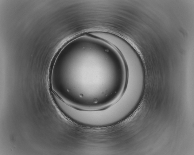 X0000115270845200911131806