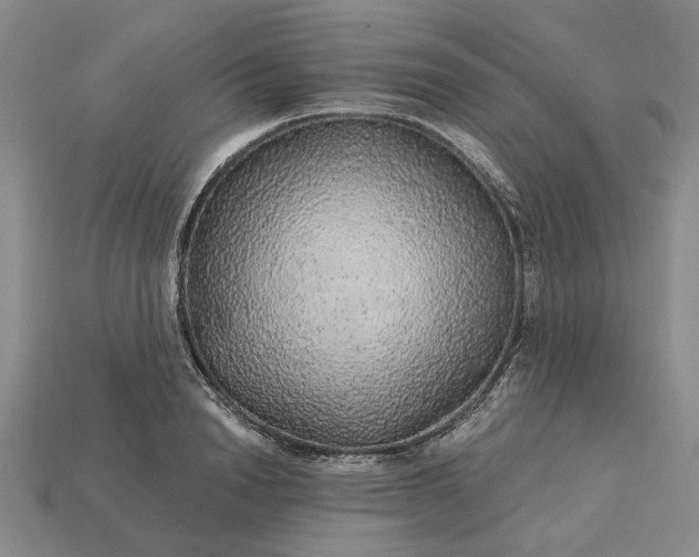 X0000115270846200911131806