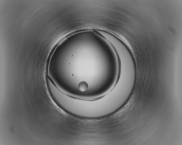 X0000115270847200911131806