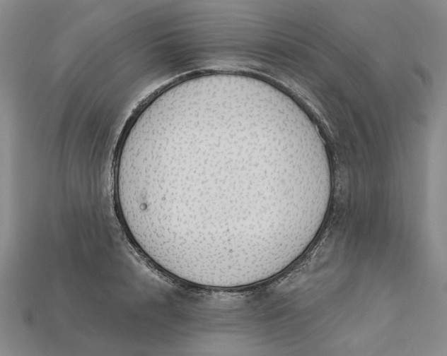 X0000115270848200911131806