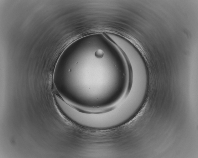 X0000115270849200911131806