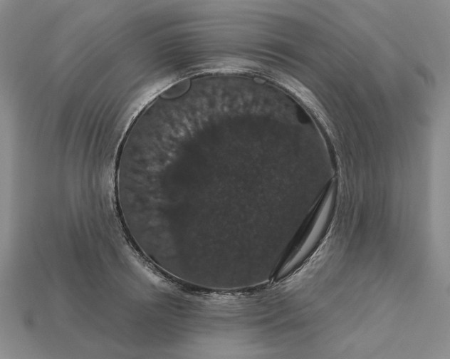 X0000115270850200911131806