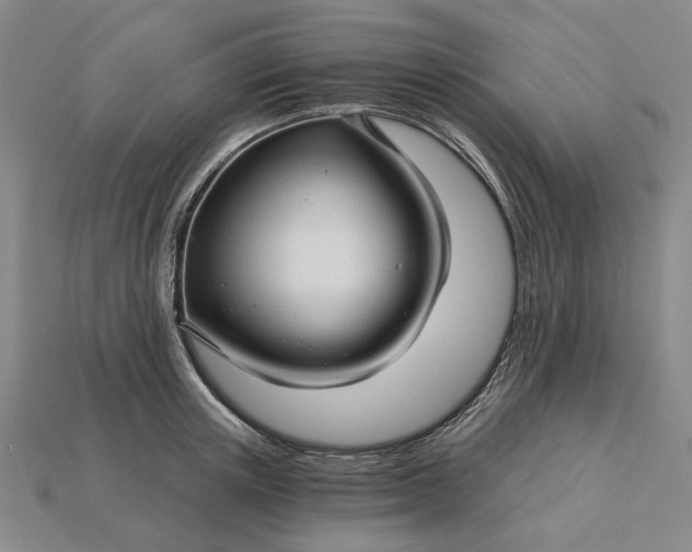 X0000115270851200911131806