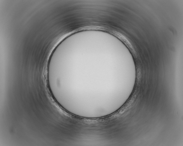 X0000115270852200911131806