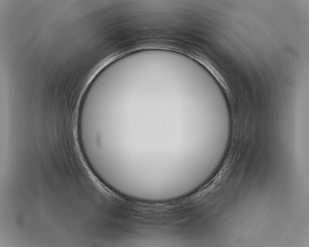 X0000115270853200911131806