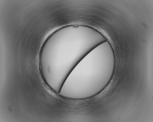 X0000115270854200911131806