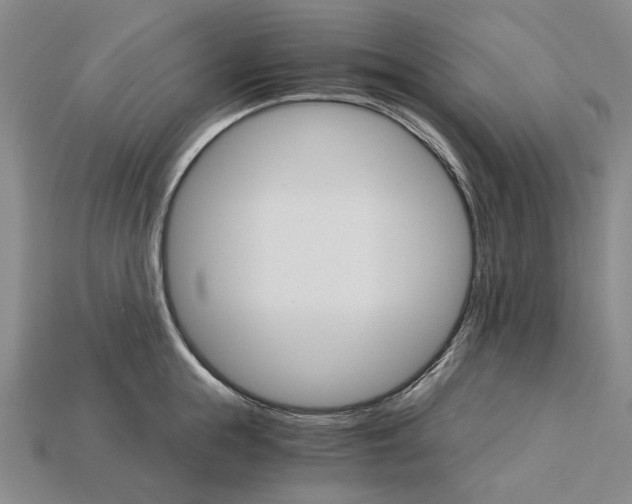 X0000115270855200911131806