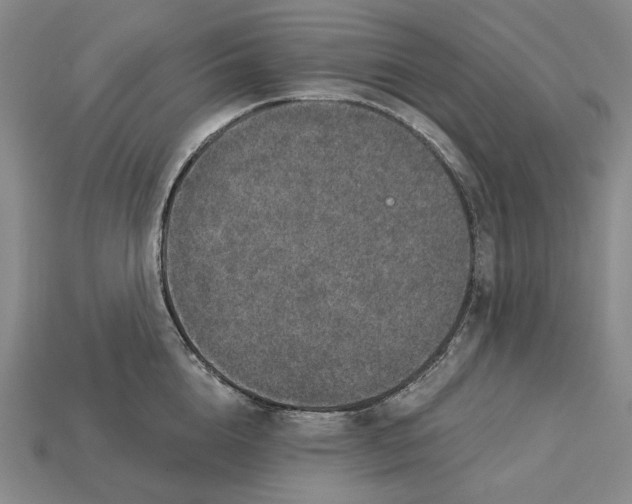 X0000115270856200911131806