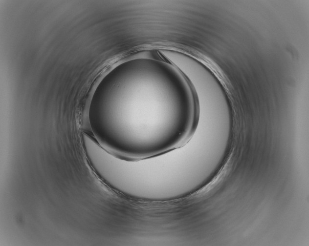 X0000115270857200911131806