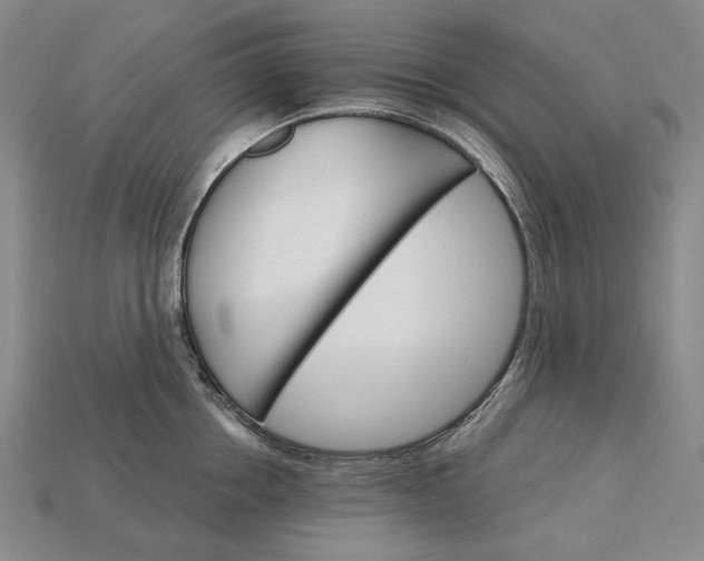 X0000115270858200911131806