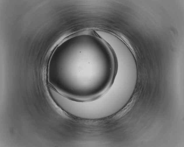 X0000115270859200911131806