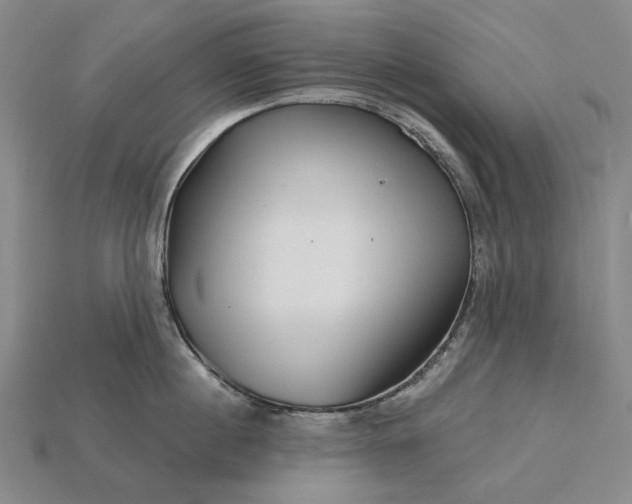 X0000115270860200911131806