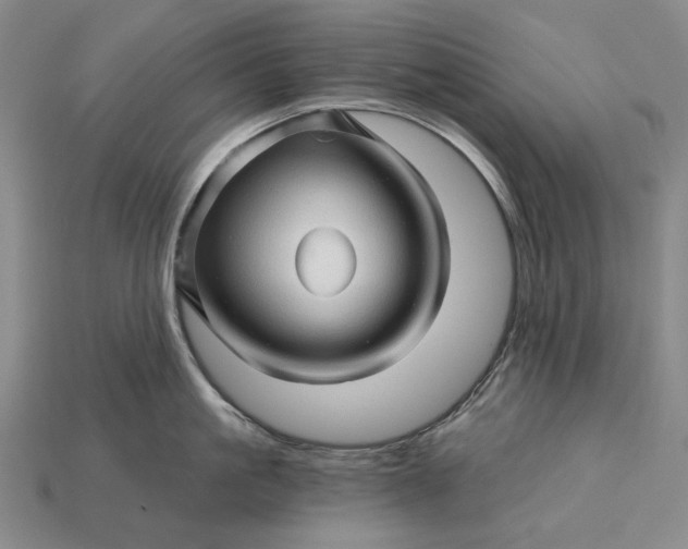 X0000115270861200911131806