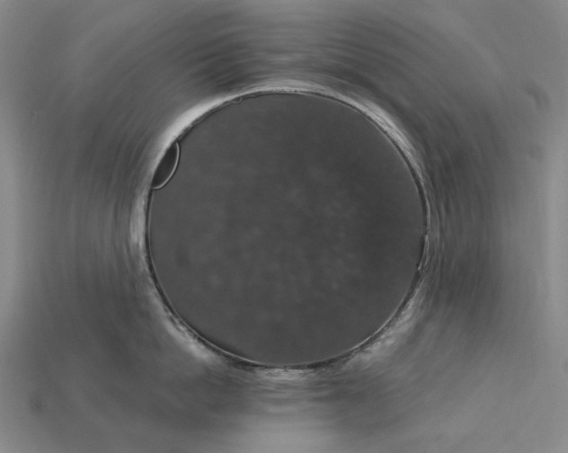 X0000115270862200911131806
