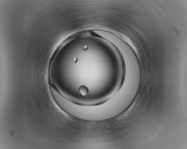 X0000115270863200911131806