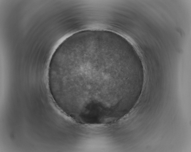 X0000115270864200911131806
