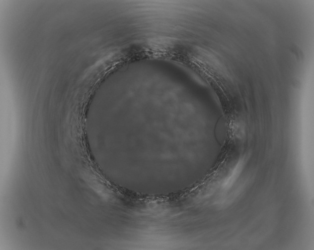 X0000115270865200911131805