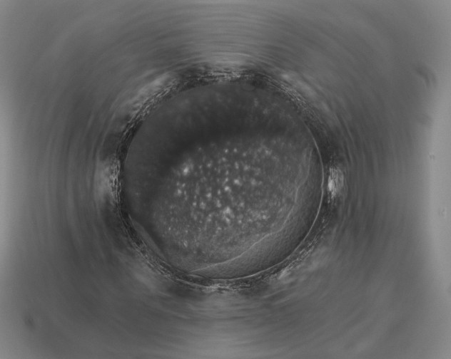 X0000115270867200911131805