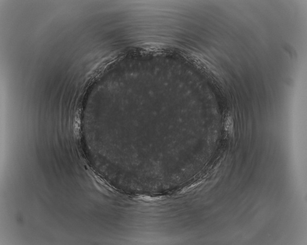 X0000115270868200911131805