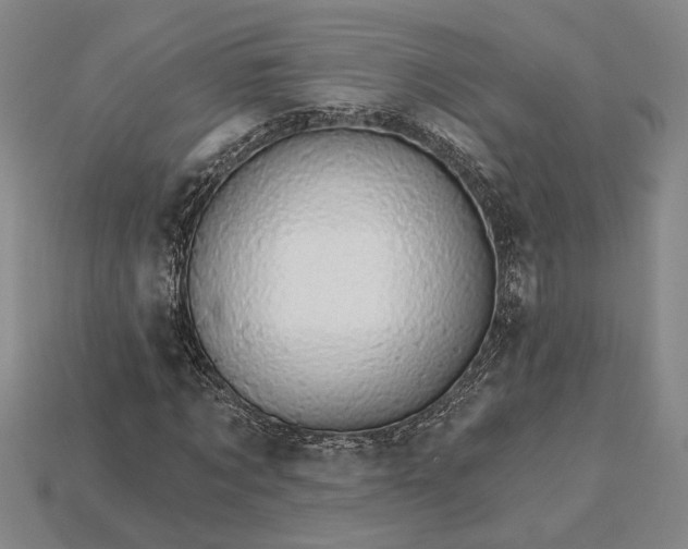 X0000115270869200911131805