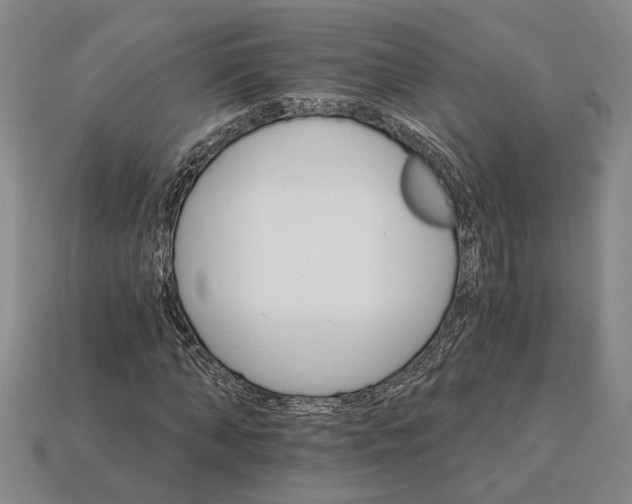 X0000115270870200911131805