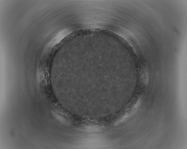 X0000115270871200911131805