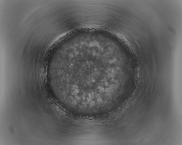 X0000115270872200911131805