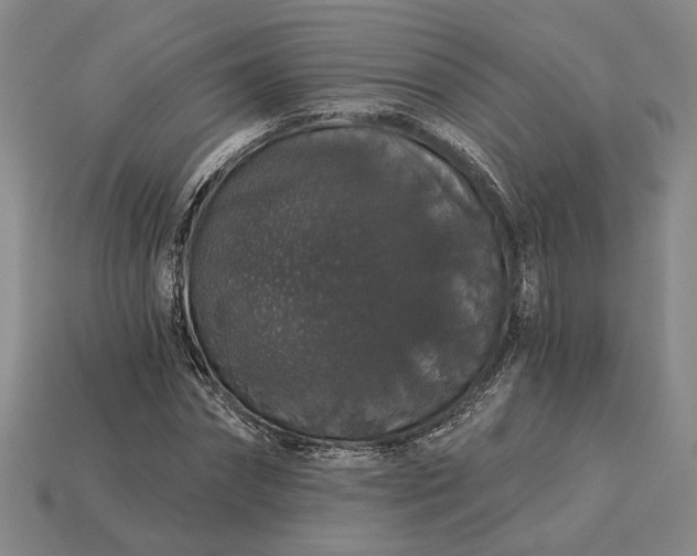 X0000115270874200911131805