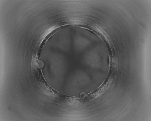 X0000115270875200911131805