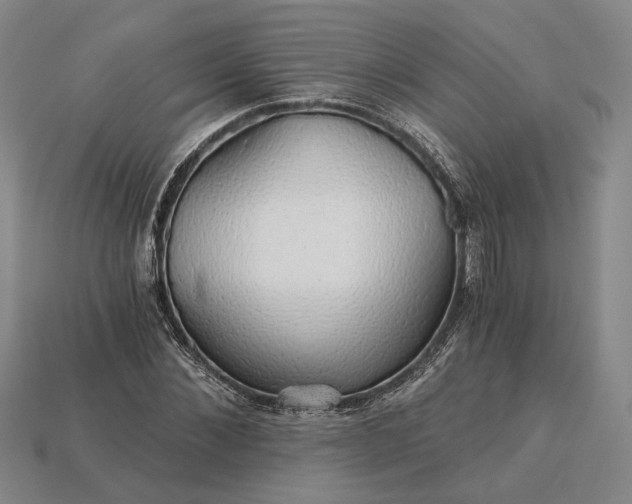 X0000115270876200911131805