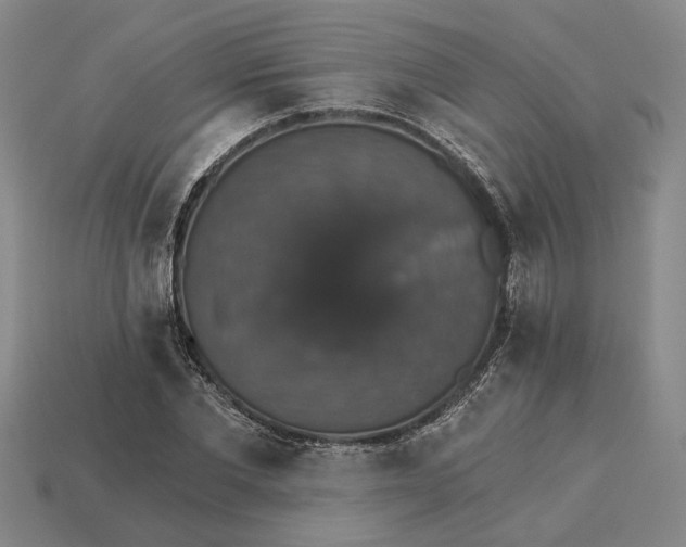X0000115270877200911131805