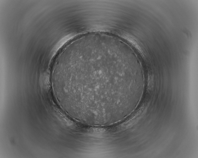 X0000115270878200911131805